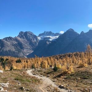 Meet your Posher, Don